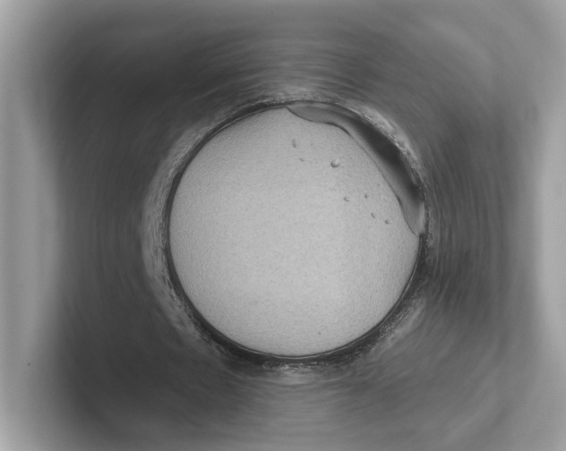 X0000101450481200807280942