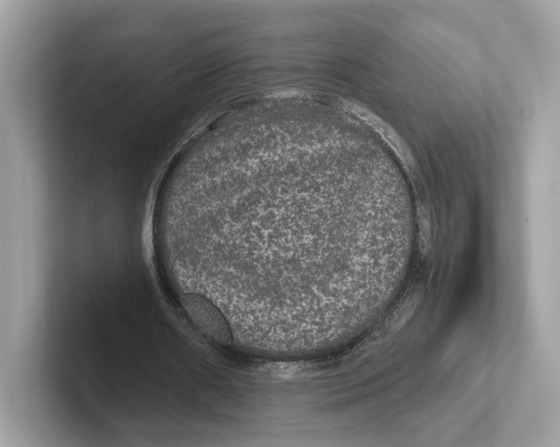 X0000101450482200807280942