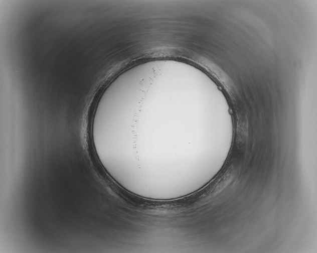 X0000101450485200807280942