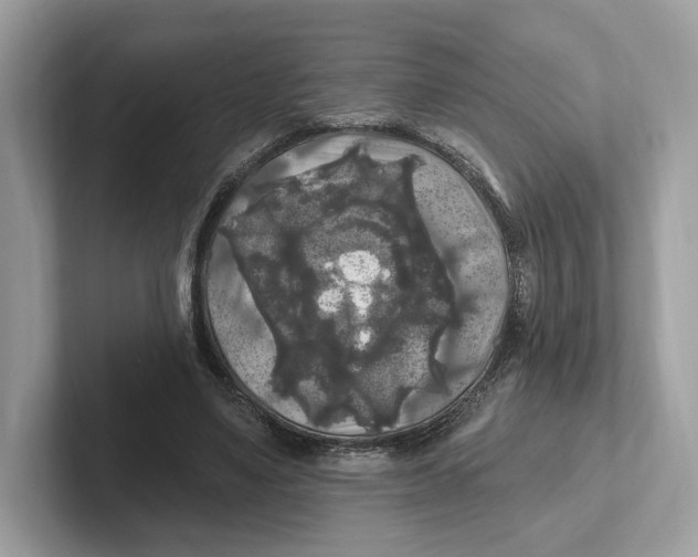 X0000101450491200807280942