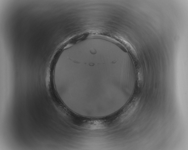 X0000101450492200807280942