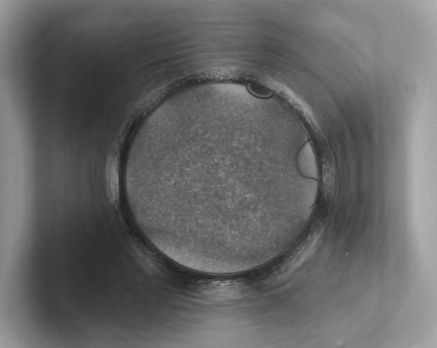 X0000101450493200807280942