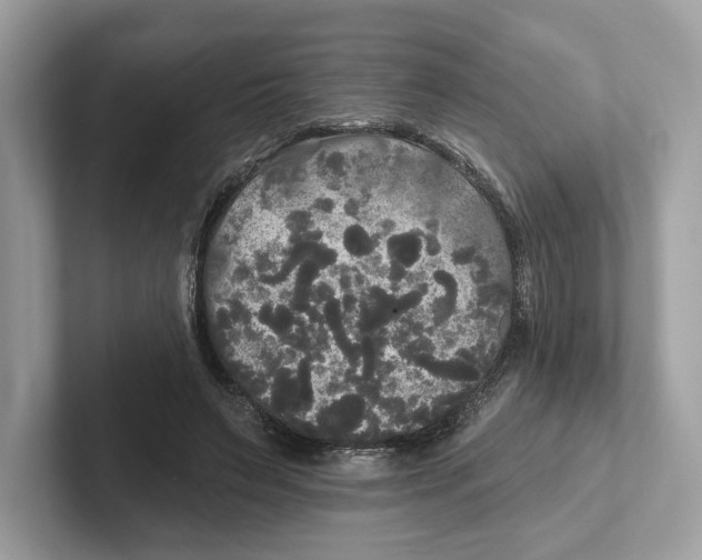 X0000101450495200807280942