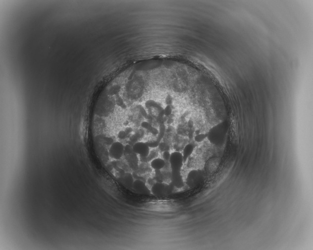 X0000101450499200807280942