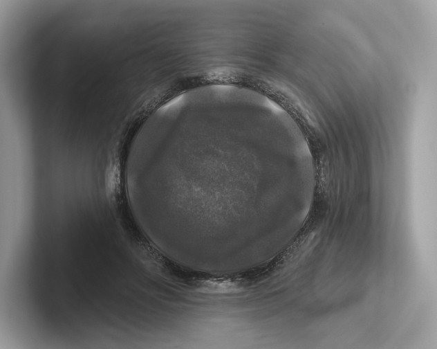 X0000101450502200807280942