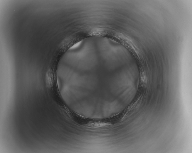 X0000101450503200807280942