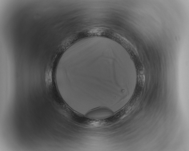 X0000101450504200807280942