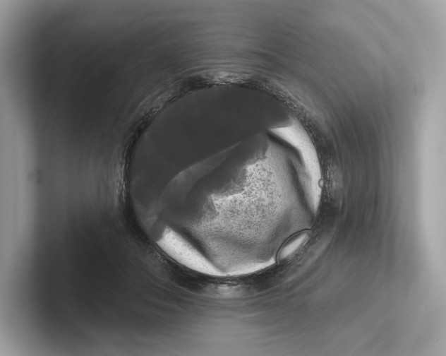 X0000101450506200807280942