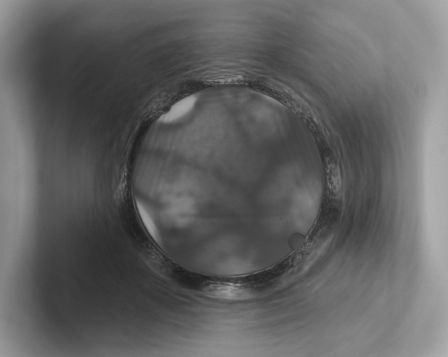 X0000101450507200807280942