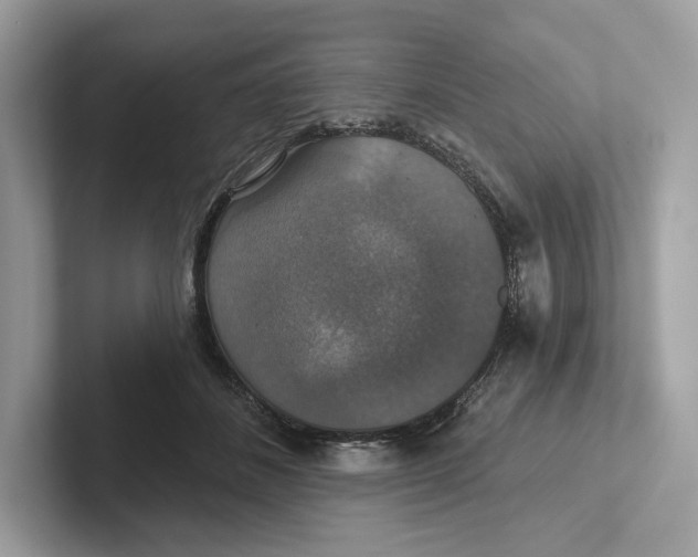 X0000101450508200807280942