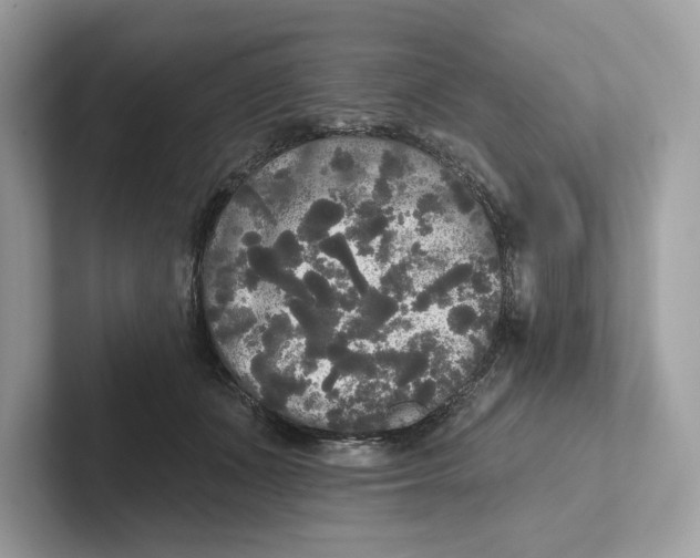 X0000101450511200807280942