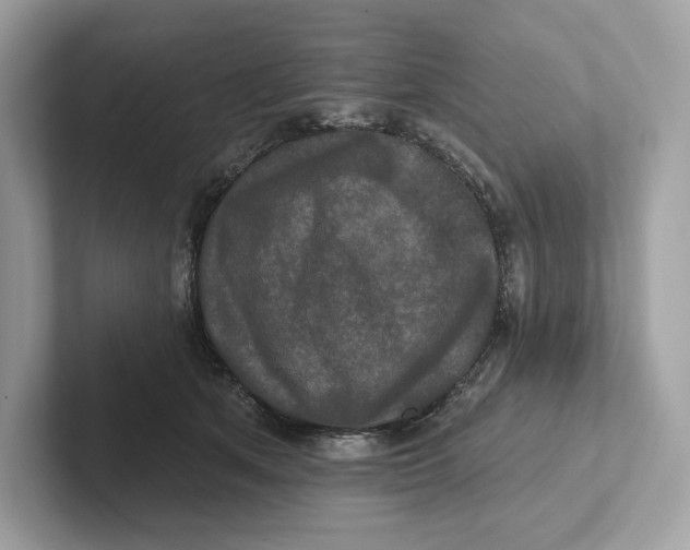 X0000101450513200807280942