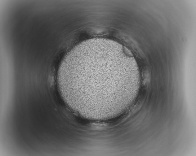 X0000101450515200807280942