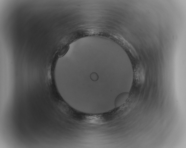 X0000101450516200807280942