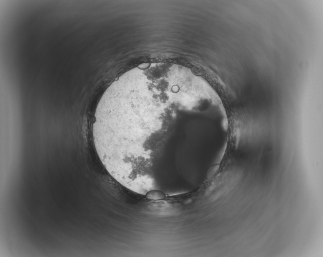 X0000101450519200807280942