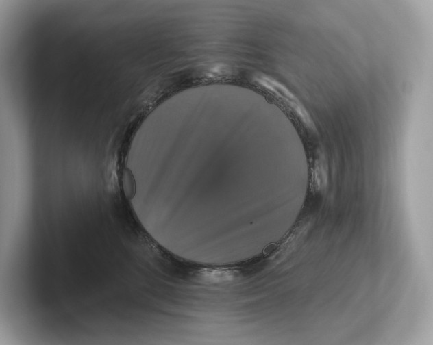 X0000101450520200807280942