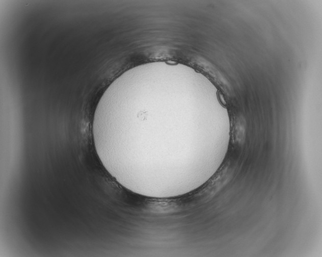 X0000101450521200807280942