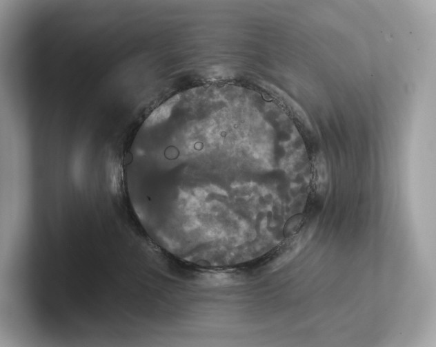 X0000101450523200807280942