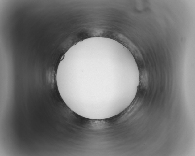 X0000101450525200807280942