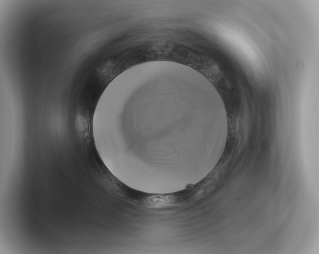 X0000101450526200807280942