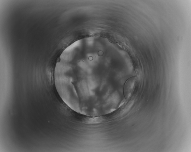 X0000101450527200807280942