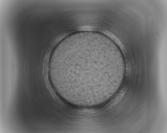 X0000101450529200807280941