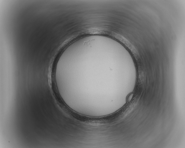 X0000101450530200807280941