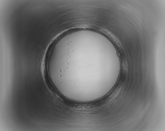 X0000101450532200807280941