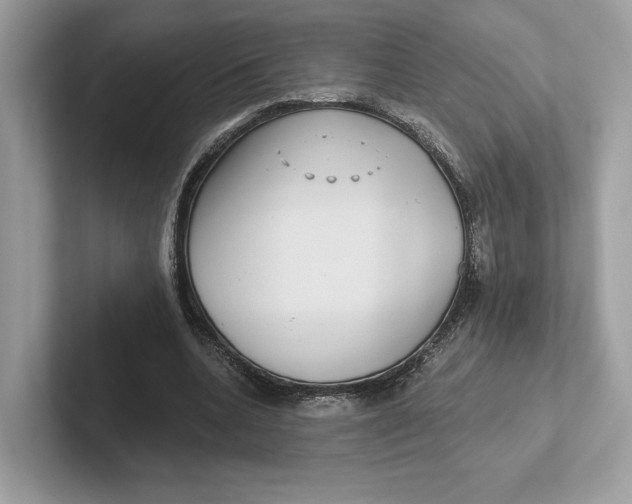 X0000101450536200807280941