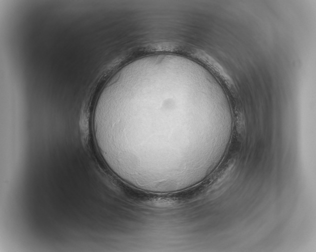 X0000101450537200807280941