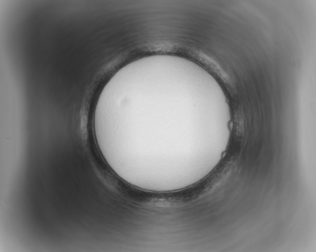 X0000101450538200807280941