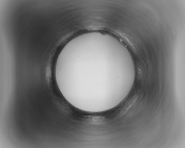 X0000101450539200807280941