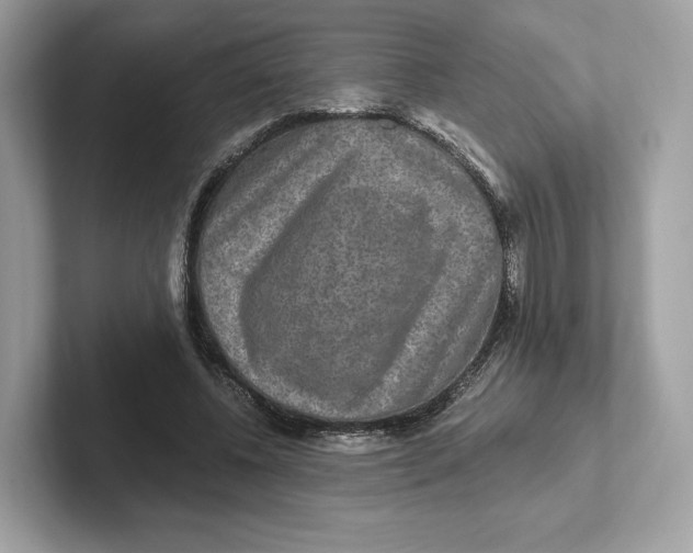 X0000101450540200807280941