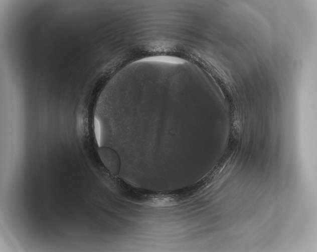 X0000101450547200807280941