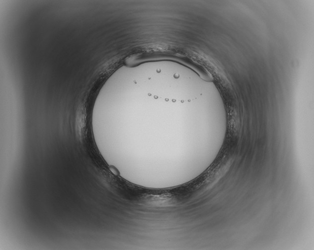 X0000101450548200807280941