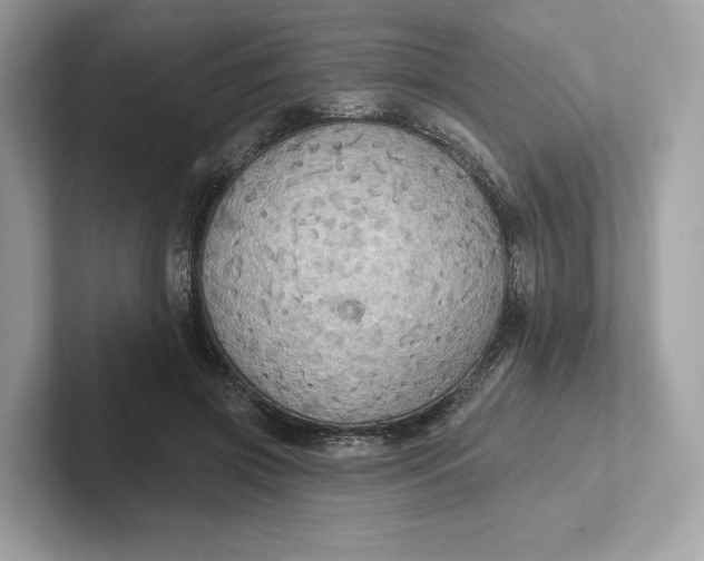 X0000101450549200807280941