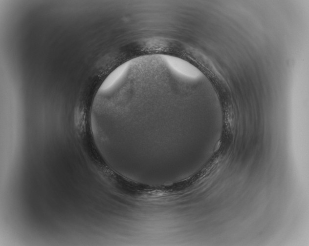 X0000101450551200807280941