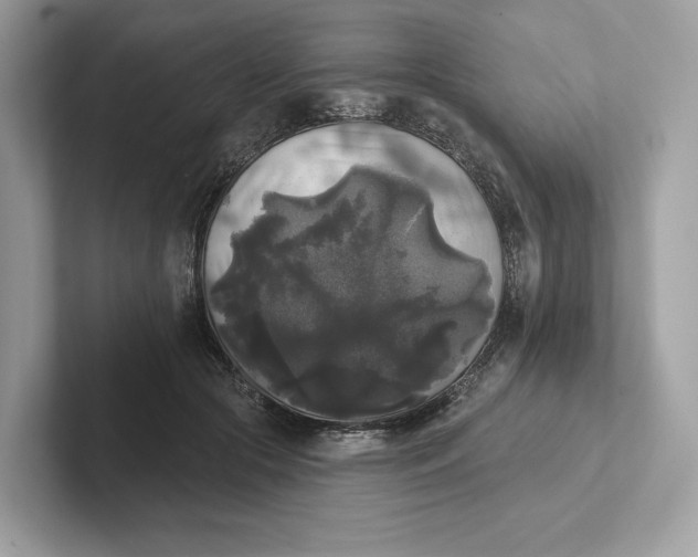 X0000101450553200807280941