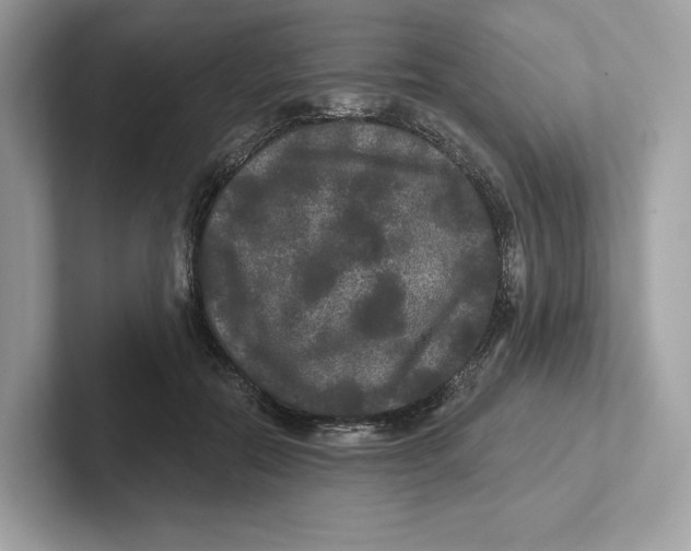 X0000101450554200807280941