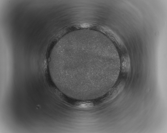 X0000101450555200807280941