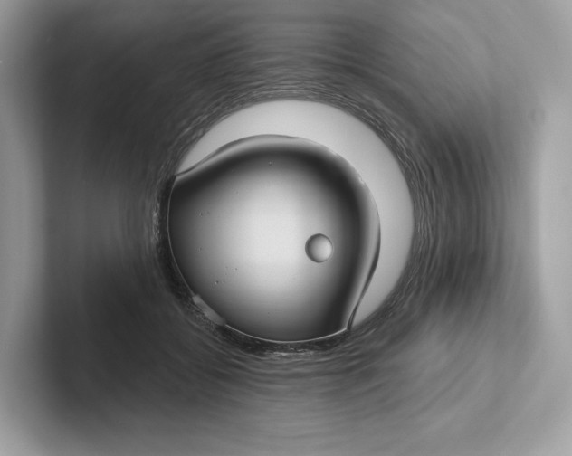 X0000101450556200807280941