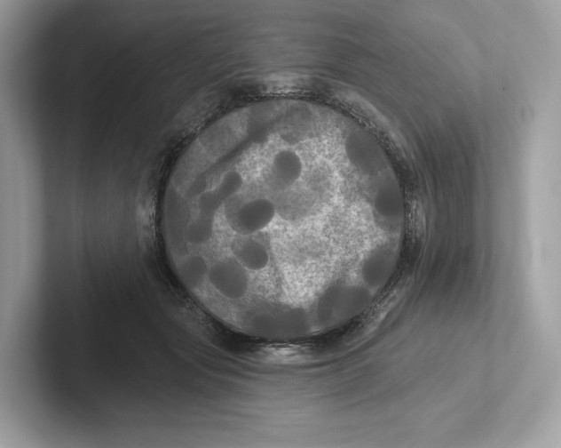 X0000101450557200807280941