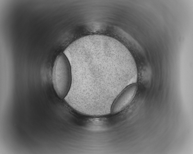 X0000101450558200807280941