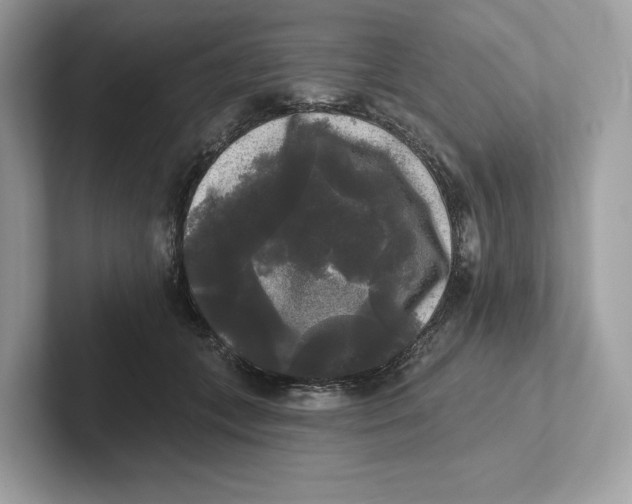 X0000101450559200807280941