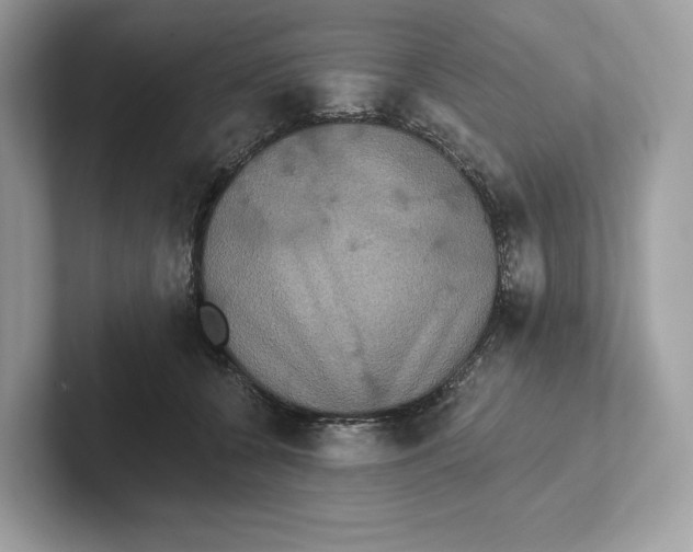 X0000101450560200807280941