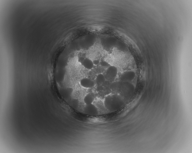 X0000101450561200807280941