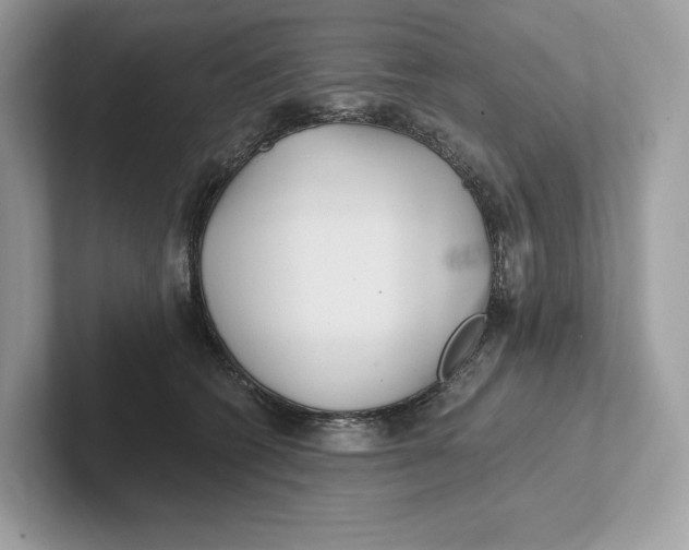 X0000101450562200807280941