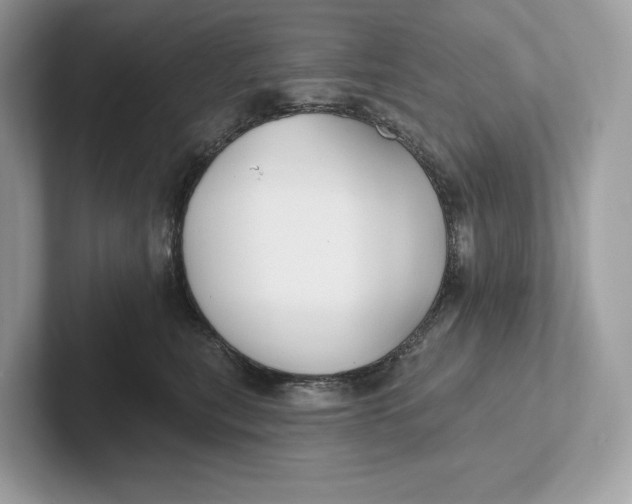 X0000101450567200807280942