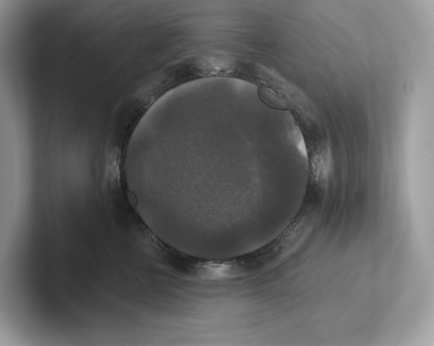 X0000101450570200807280942