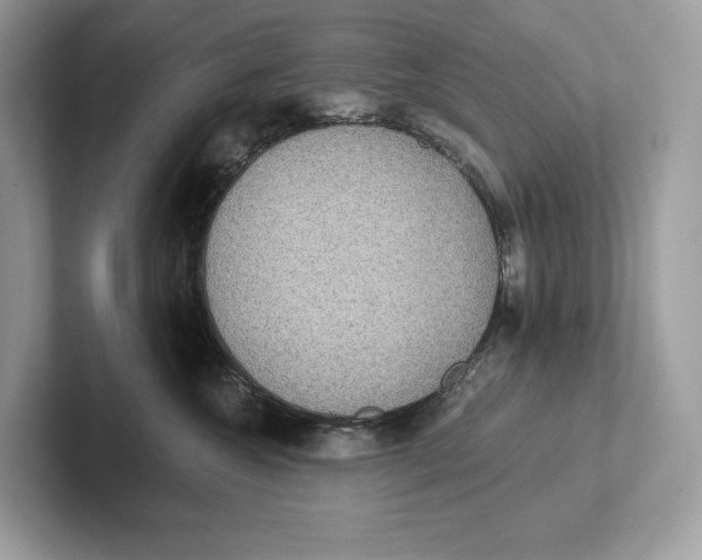 X0000101450572200807280942